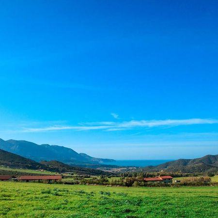 Agriturismo Il Ginepro Fluminimaggiore Luaran gambar