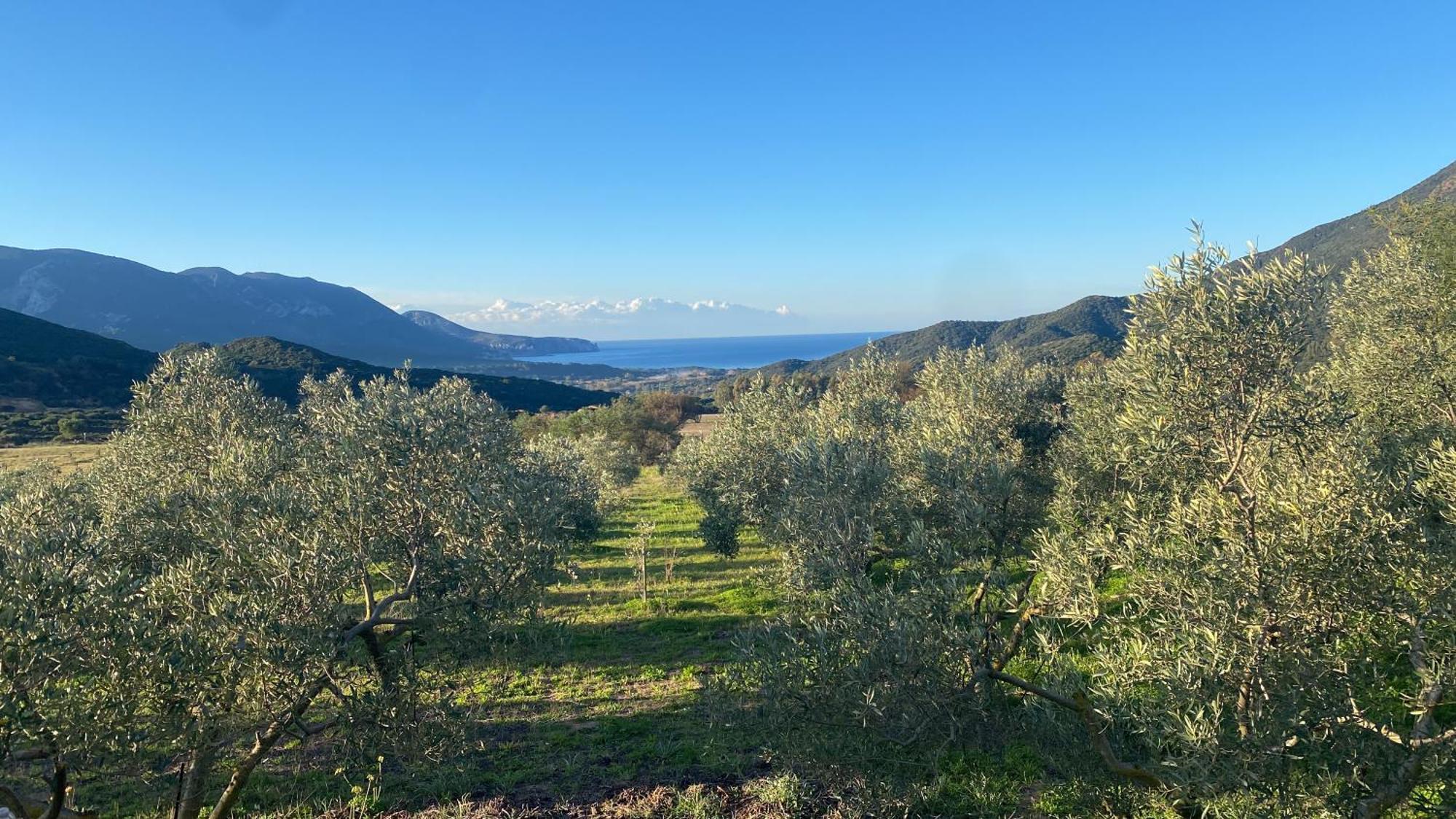Agriturismo Il Ginepro Fluminimaggiore Luaran gambar