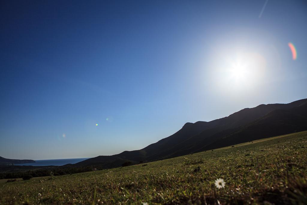 Agriturismo Il Ginepro Fluminimaggiore Luaran gambar