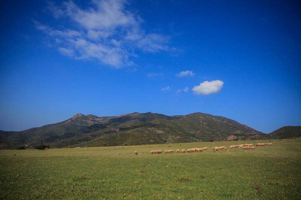 Agriturismo Il Ginepro Fluminimaggiore Luaran gambar