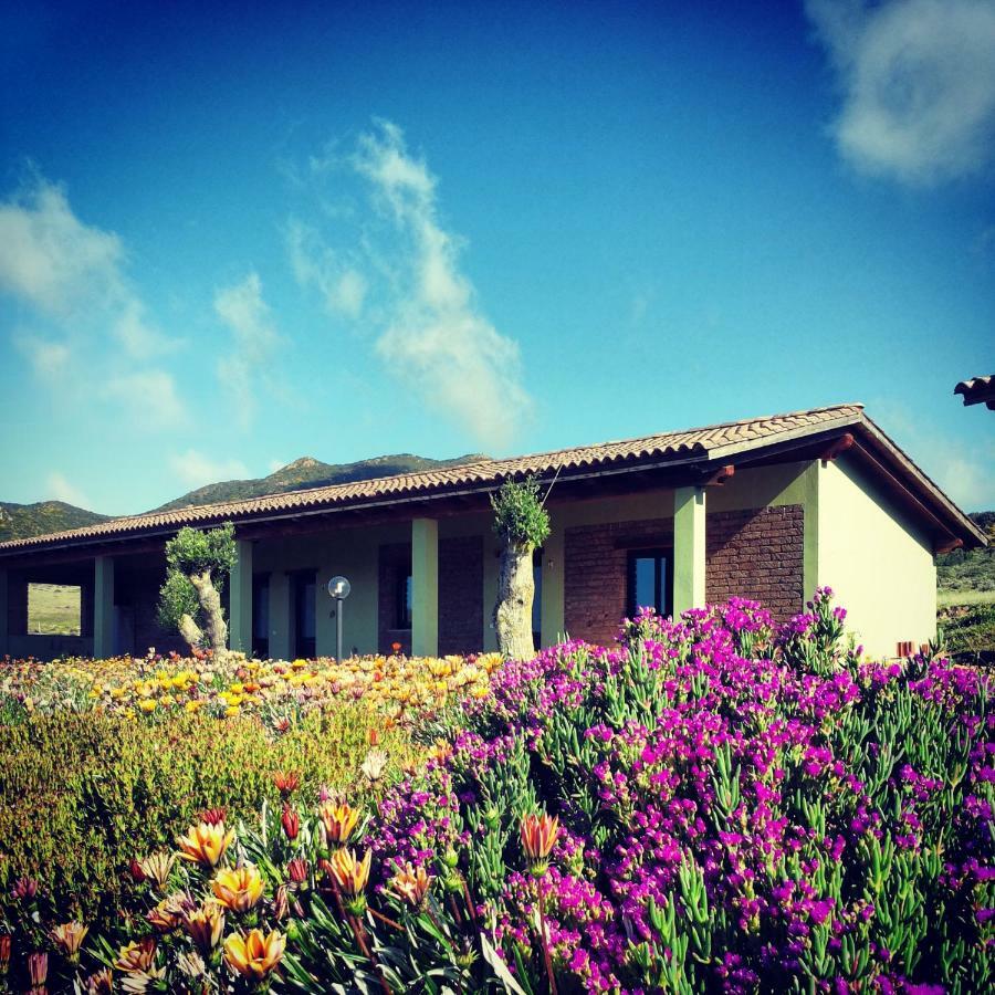 Agriturismo Il Ginepro Fluminimaggiore Luaran gambar