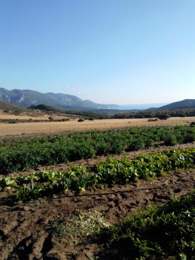 Agriturismo Il Ginepro Fluminimaggiore Luaran gambar